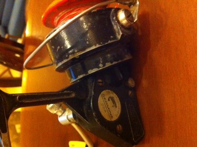 mulinete - poza11.JPG